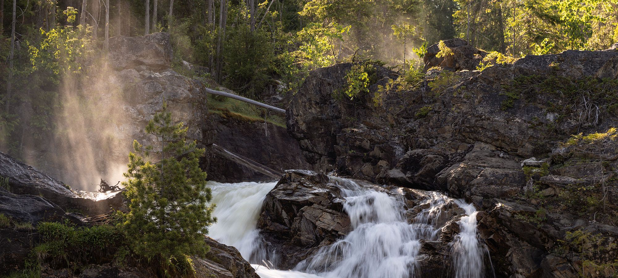 An Unparalleled Paradise